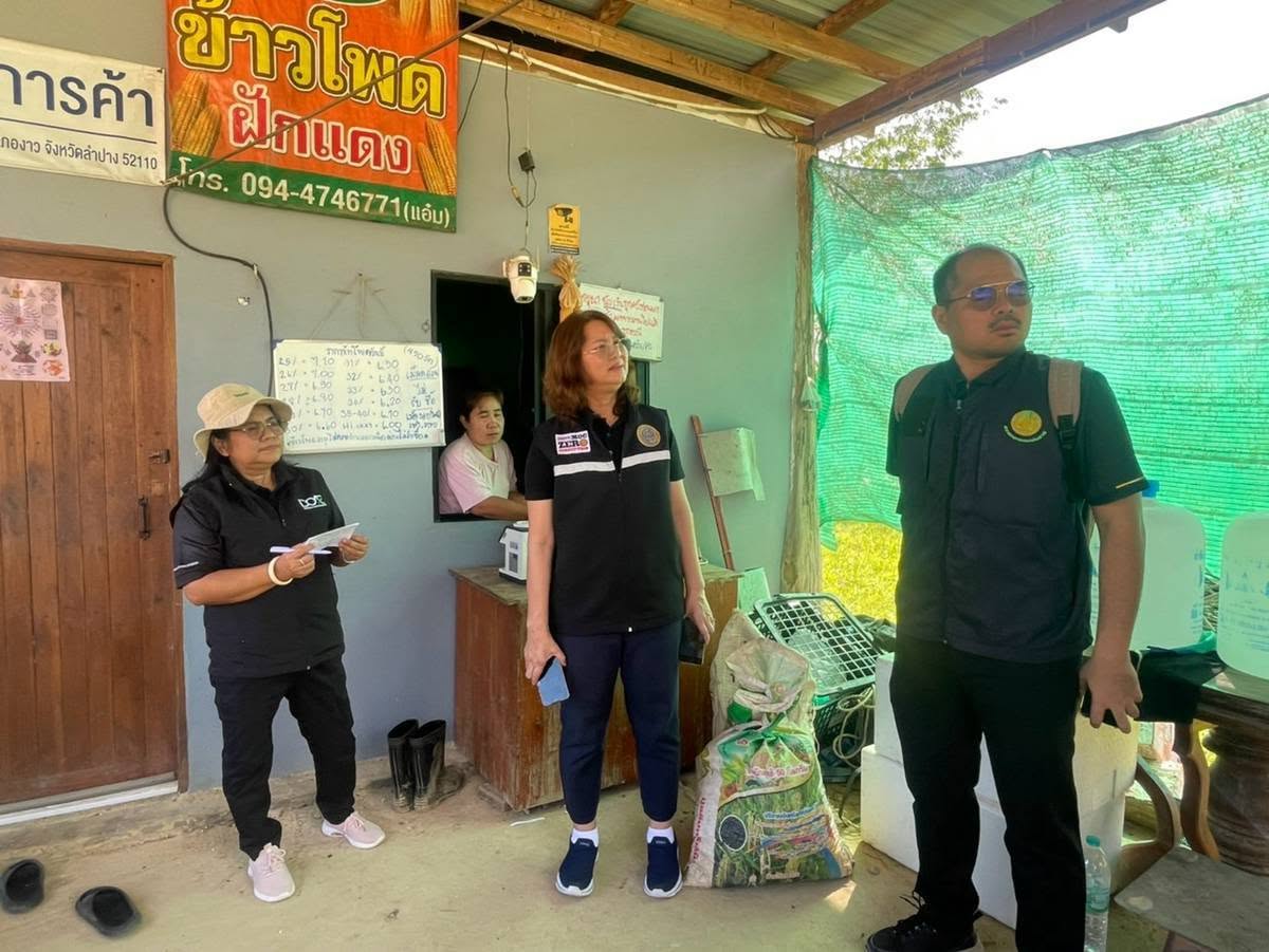 พาณิชย์ลำปาง ลงพื้นที่ติดตามการรับซื้อข้าวโพดเลี้ยงสัตว์อำเภองาว กำชับผู้ประกอบการซื้อขายอย่างเป็นธรรม